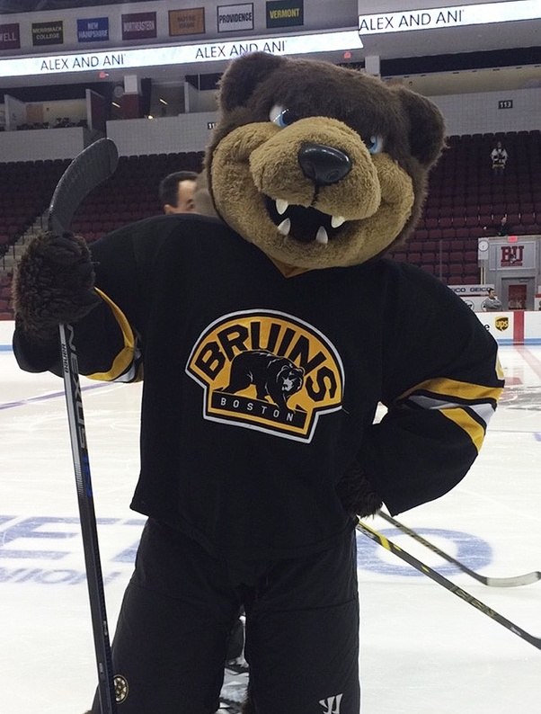 This! 50+ Facts About Boston Bruins Mascot Costume! What is the boston ...